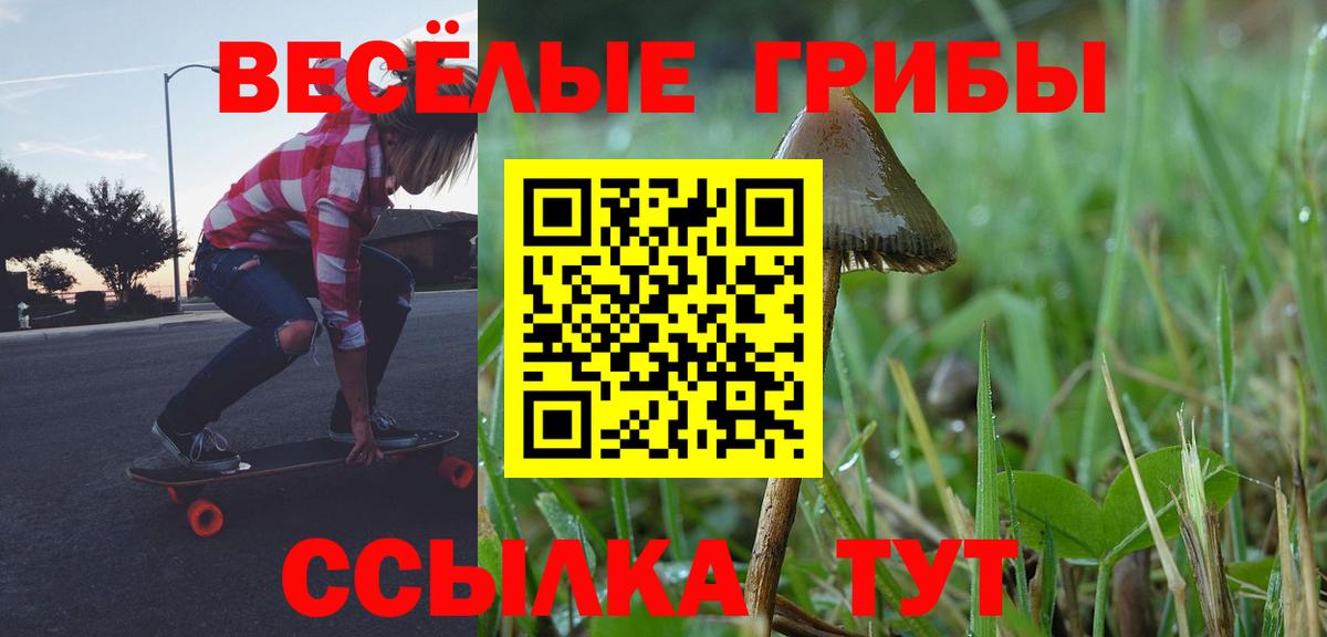 Псилоцибиновые грибы мухоморы Губкинский