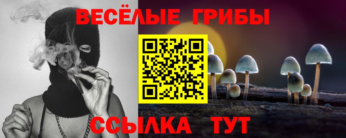 Губкинский  Галлюциногенные грибы мухоморы  Вход с VPN 